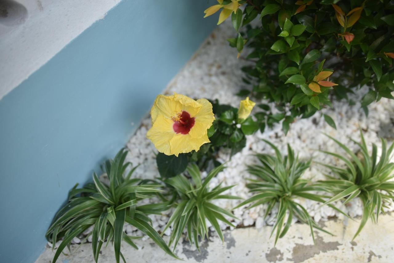 Lovely Homestay Hue Esterno foto